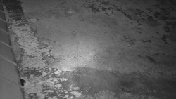 Nástup na běžecké tratě