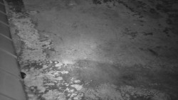 Nástup na běžecké tratě