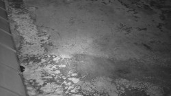 Nástup na běžecké tratě