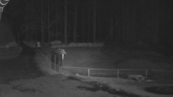 Nástup na běžecké tratě