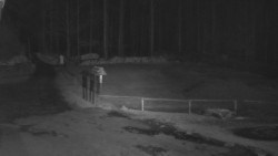 Nástup na běžecké tratě