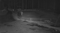 Nástup na běžecké tratě