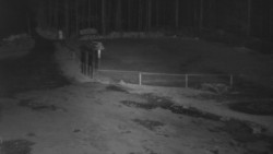 Nástup na běžecké tratě