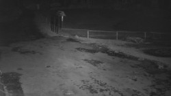 Nástup na běžecké tratě