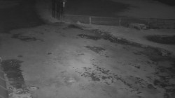 Nástup na běžecké tratě