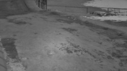 Nástup na běžecké tratě