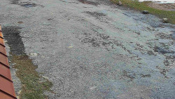 Nástup na běžecké tratě