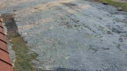 Nástup na běžecké tratě