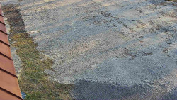 Nástup na běžecké tratě