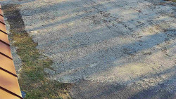 Nástup na běžecké tratě