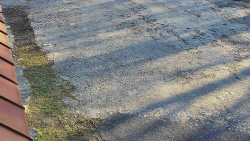 Nástup na běžecké tratě