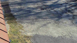 Nástup na běžecké tratě