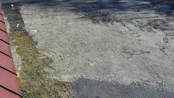 Nástup na běžecké tratě