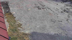 Nástup na běžecké tratě