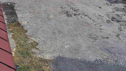 Nástup na běžecké tratě