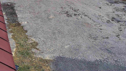 Nástup na běžecké tratě