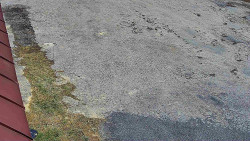 Nástup na běžecké tratě