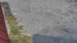 Nástup na běžecké tratě