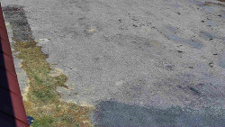 Nástup na běžecké tratě