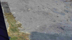 Nástup na běžecké tratě