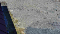 Nástup na běžecké tratě