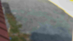 Nástup na běžecké tratě