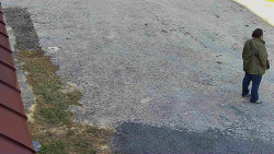 Nástup na běžecké tratě