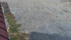 Nástup na běžecké tratě