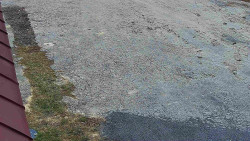 Nástup na běžecké tratě