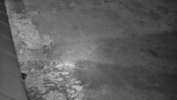 Nástup na běžecké tratě