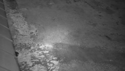 Nástup na běžecké tratě