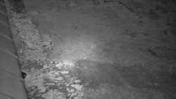 Nástup na běžecké tratě