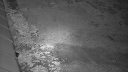 Nástup na běžecké tratě