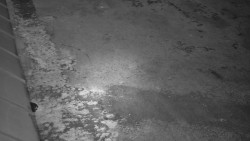 Nástup na běžecké tratě