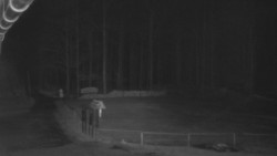 Nástup na běžecké tratě