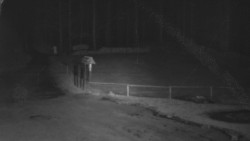 Nástup na běžecké tratě