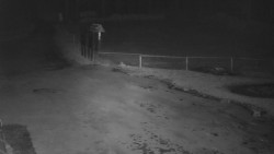 Nástup na běžecké tratě