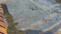 Nástup na běžecké tratě