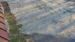 Nástup na běžecké tratě