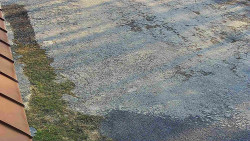 Nástup na běžecké tratě