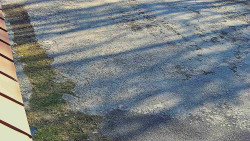 Nástup na běžecké tratě