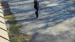 Nástup na běžecké tratě