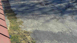 Nástup na běžecké tratě