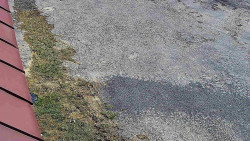 Nástup na běžecké tratě