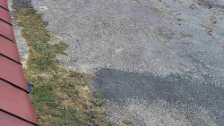 Nástup na běžecké tratě