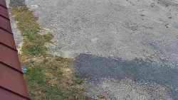 Nástup na běžecké tratě