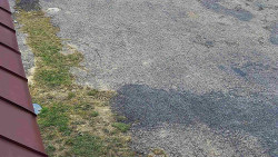 Nástup na běžecké tratě