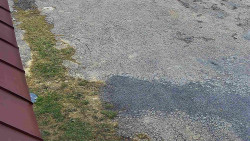 Nástup na běžecké tratě