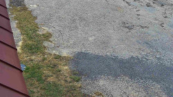 Nástup na běžecké tratě