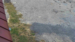 Nástup na běžecké tratě